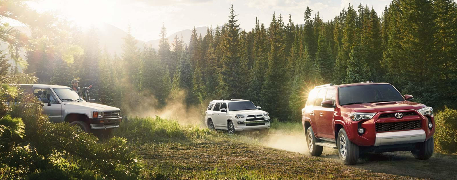 newvehiclewarranty